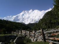 Pakistan 2006